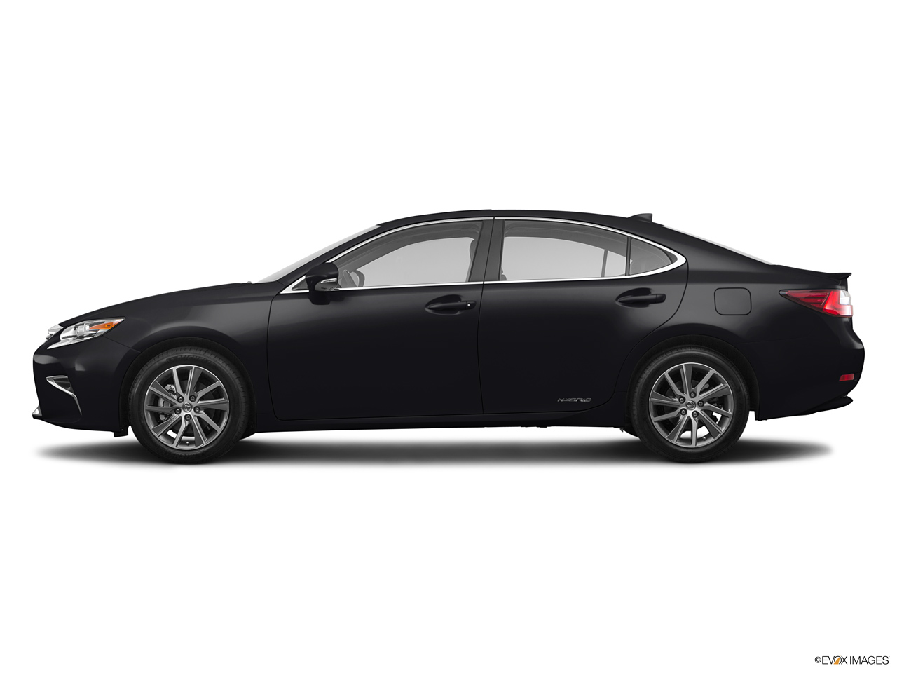 2024 Lexus ES Hybrid   Side