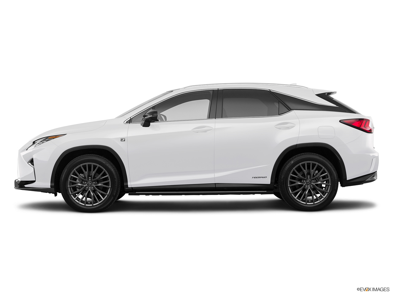 2024 Lexus RX Hybrid   Side