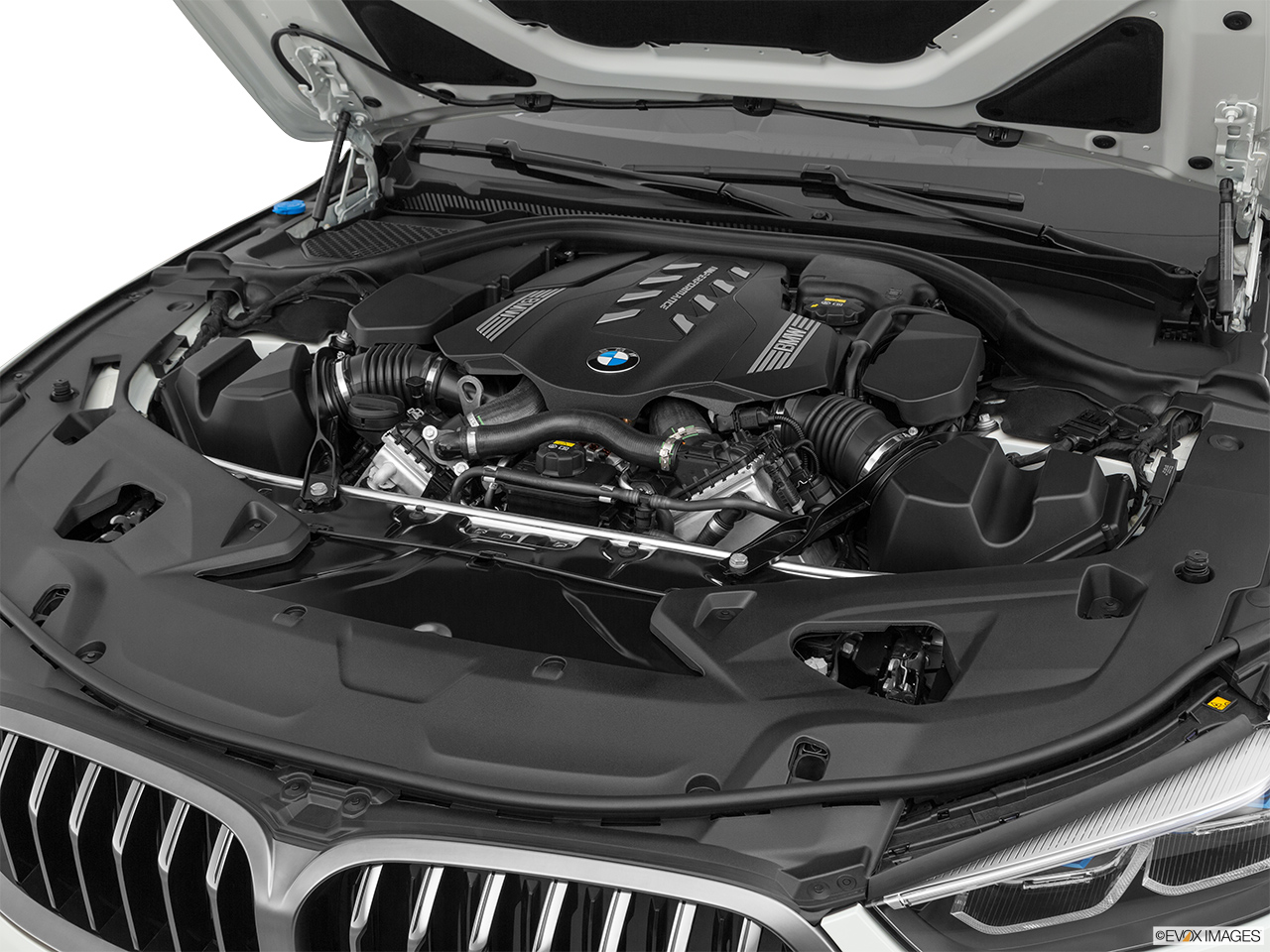 2019 BMW 8-series M850i xDrive Engine. 