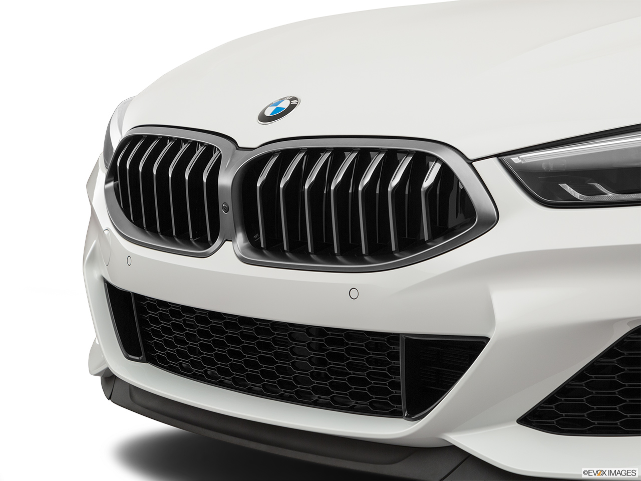 2019 BMW 8-series M850i xDrive Close up of Grill. 