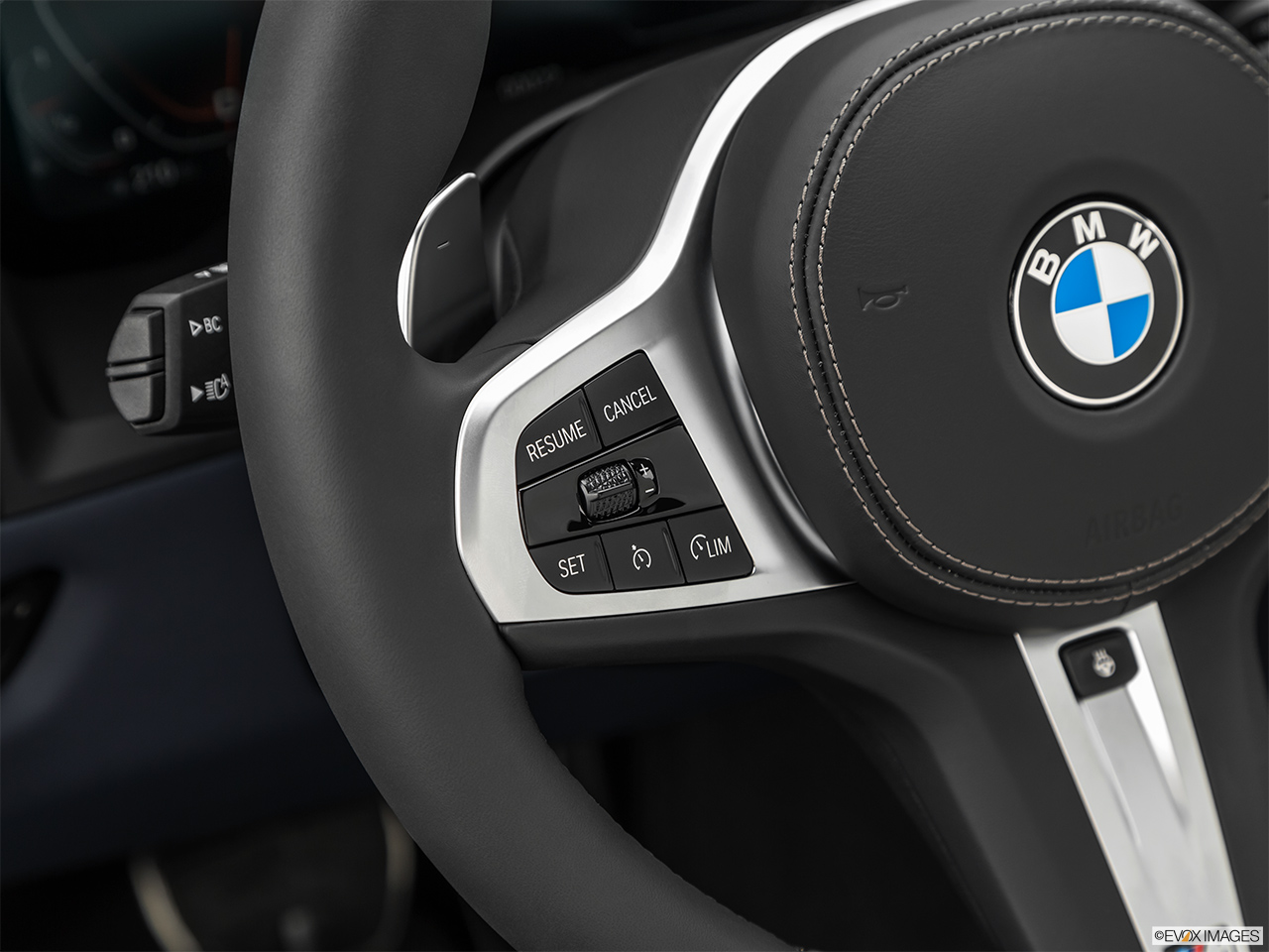 2019 BMW 8-series M850i xDrive Steering Wheel Controls (Left Side) 