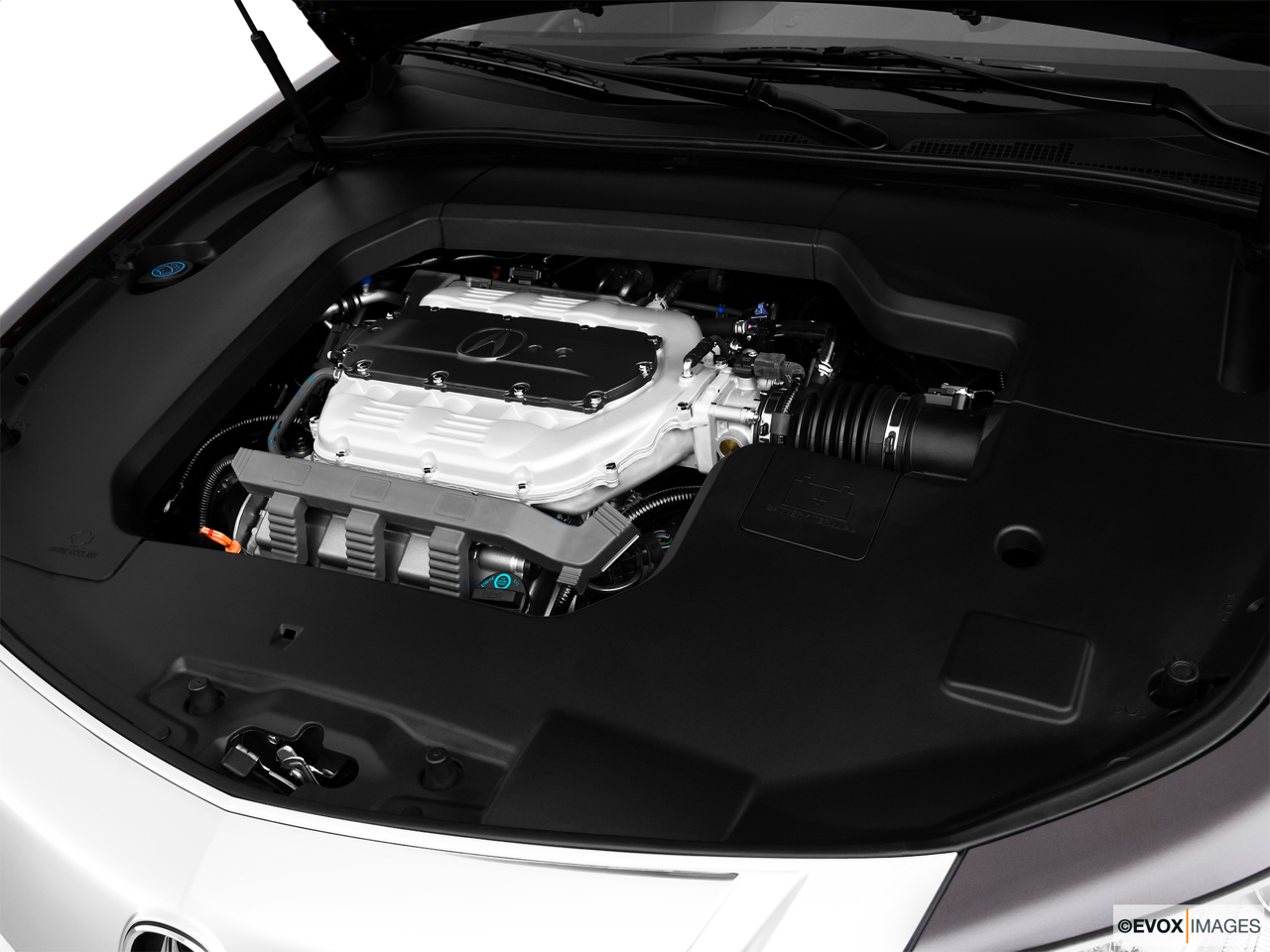 2010 Acura TL TL Engine. 
