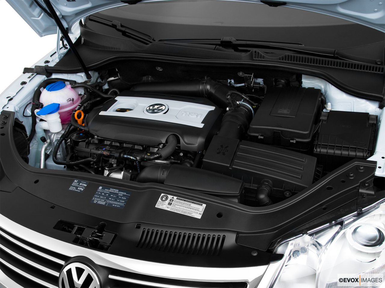 2010 Volkswagen Eos Lux Engine. 