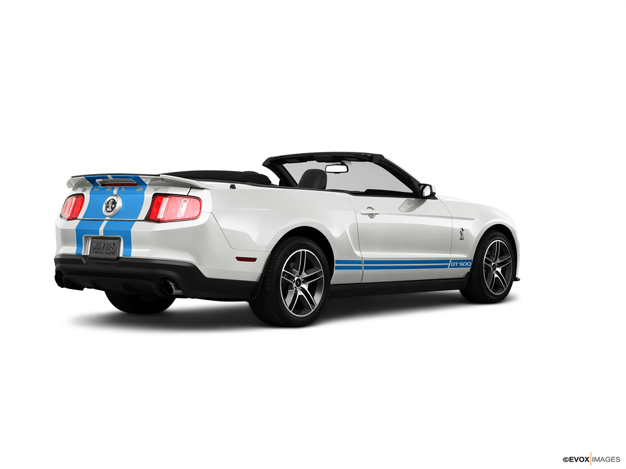 2024 Ford Shelby  Rear Quarter