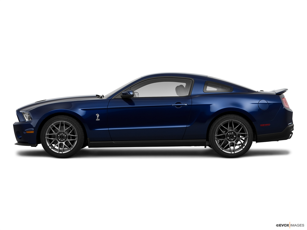 2024 Ford Shelby   Side