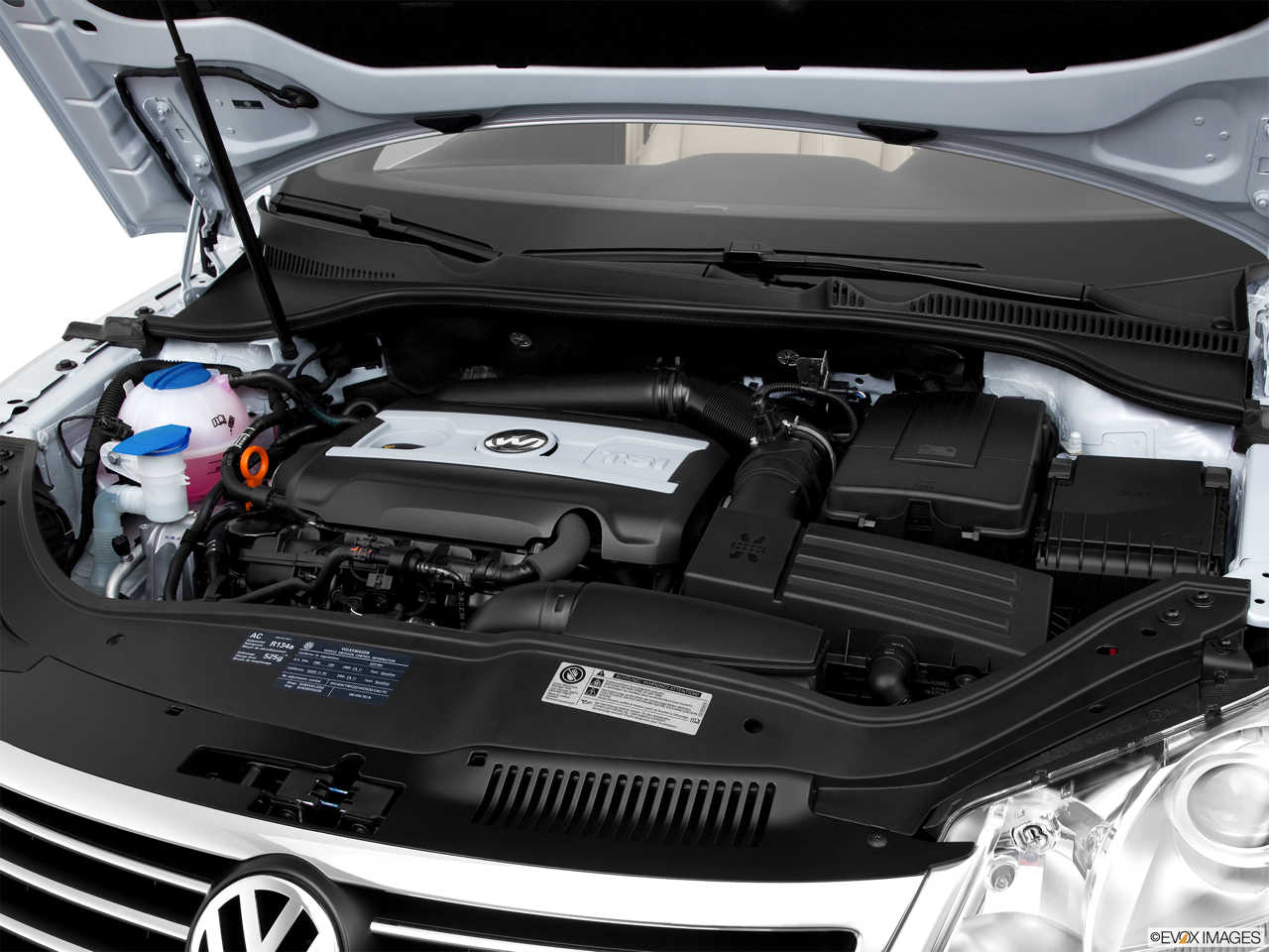 2011 Volkswagen Eos Lux Engine. 