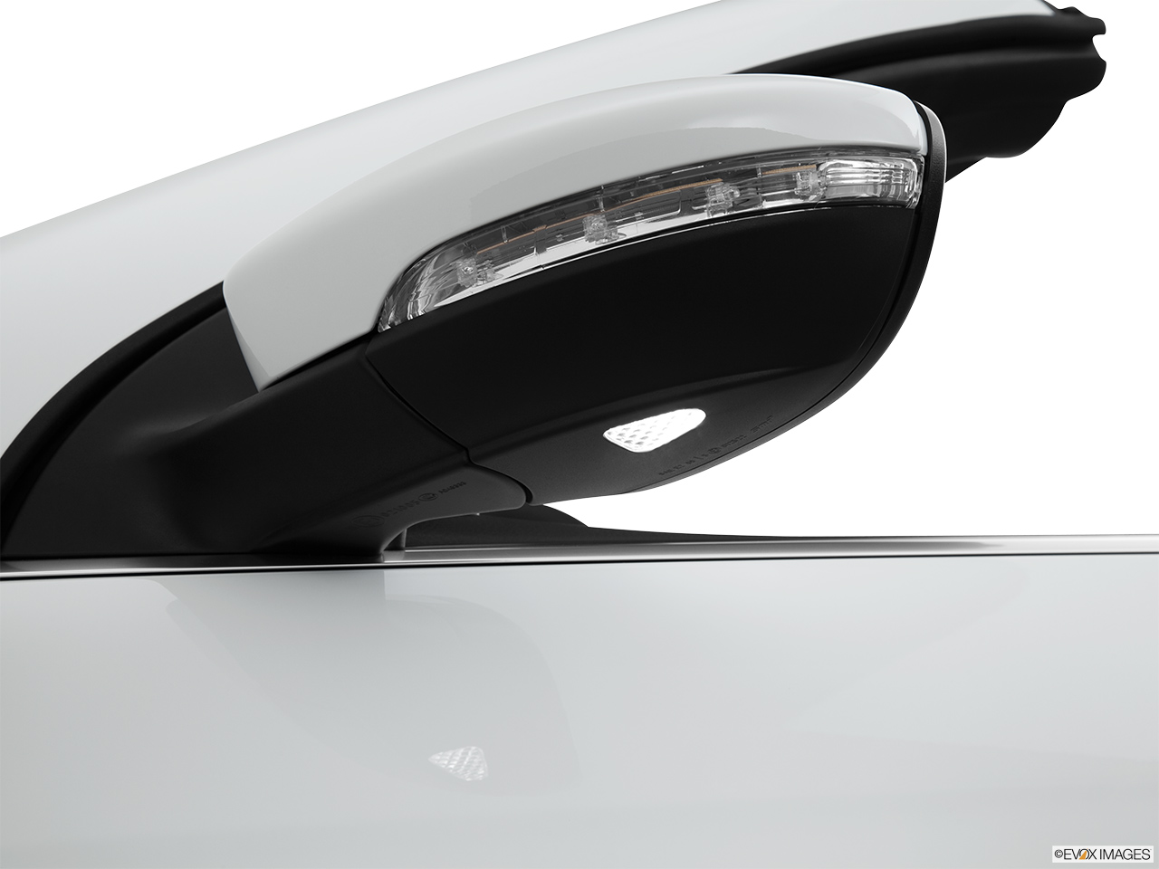 2013 Volkswagen Eos Lux Driver's side puddle lamp, illuminated 