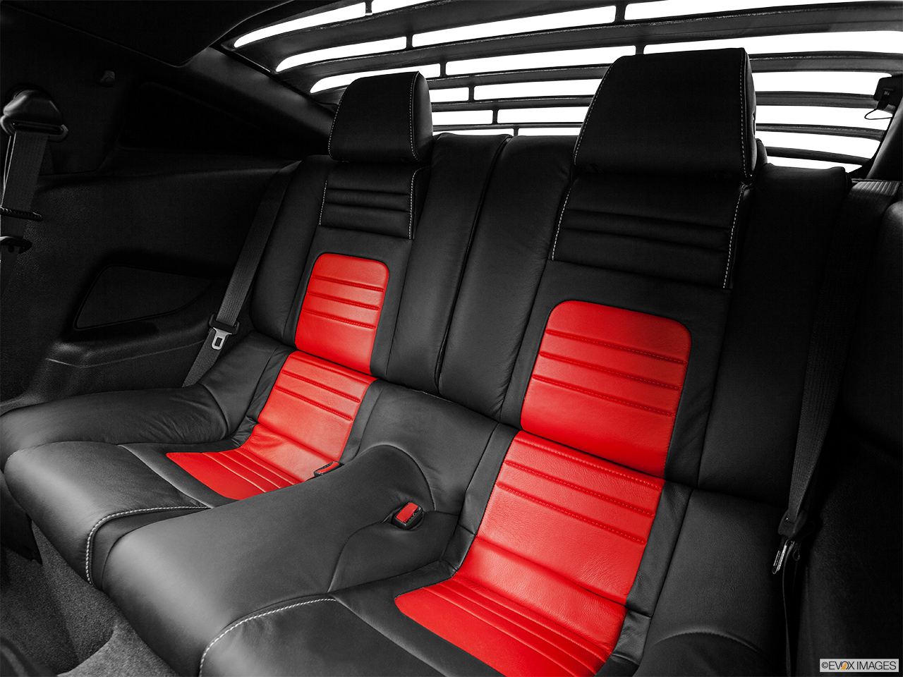2014 Saleen George Follmer Mustang Base Rear seats from Drivers Side. 
