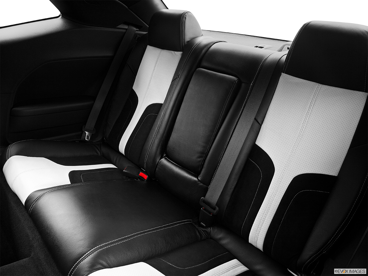 2014 Saleen 570 Challenger Label 570 Black Label Rear seats from Drivers Side. 